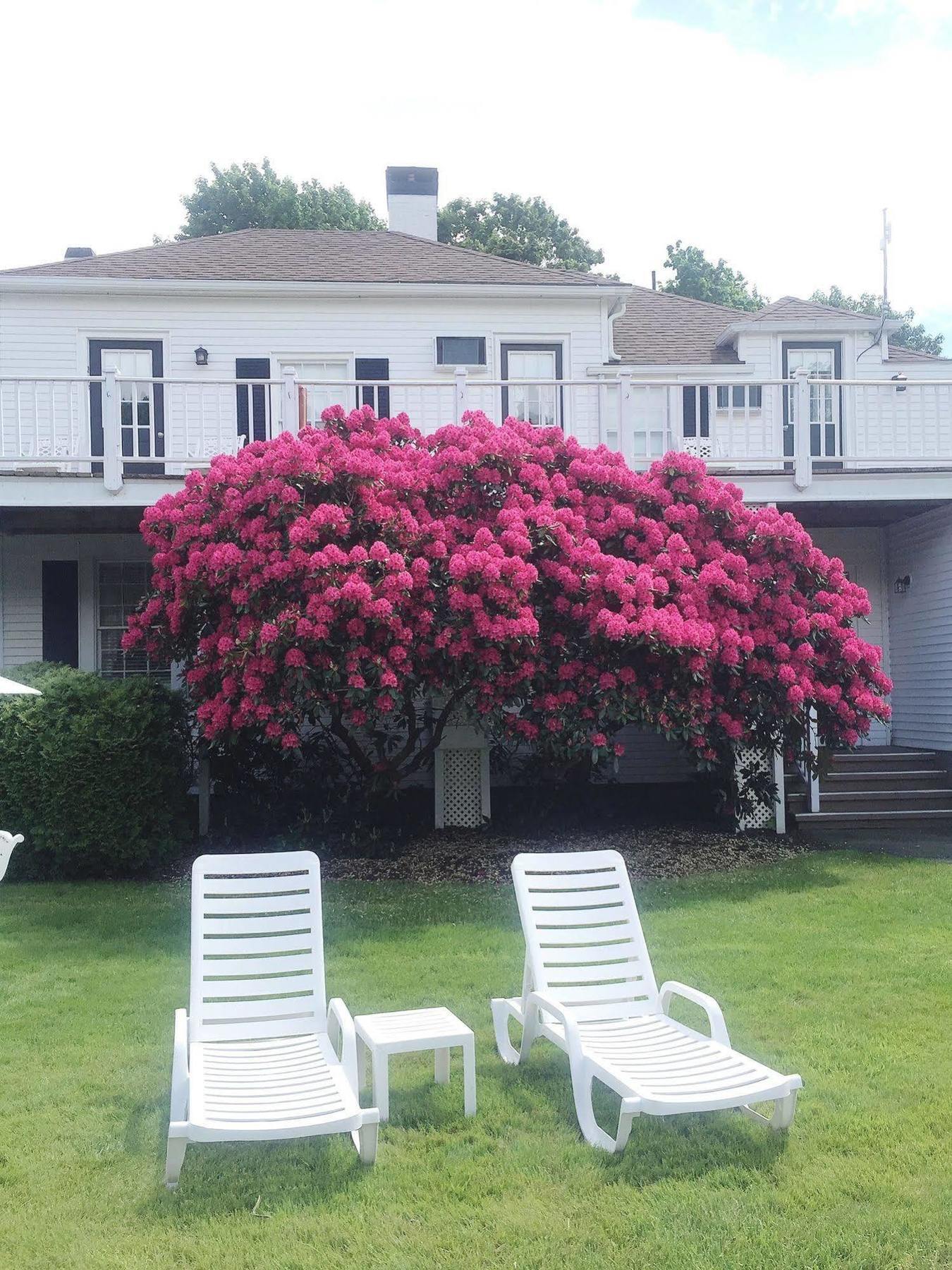 Shoreway Acres Inn Falmouth Esterno foto
